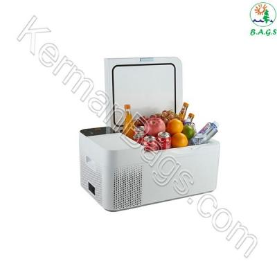 یخچال و فریزر خودرو فییموره مدل HF-08